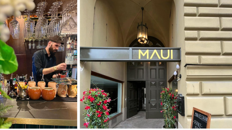 Maui im Ludwigpalais - 